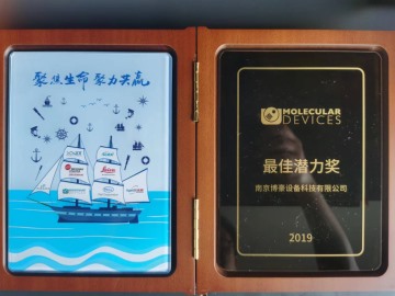 2019最佳潜力奖